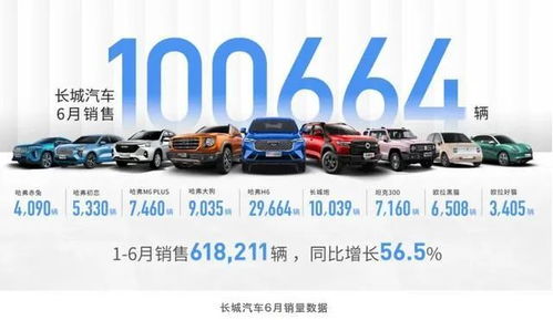 長城汽車展現企業擔當，2000萬元全力馳援河南汽車銷售產業
