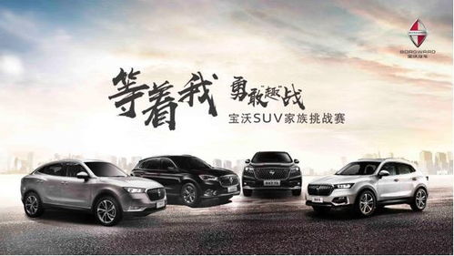 集團全面發力，寶沃汽車銷售進入高速良性發展階段