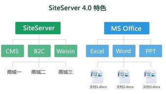 未來互聯(lián)網(wǎng)產(chǎn)品 siteserver4.0隆重上市