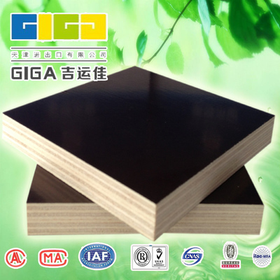 供應(yīng)東北沈陽(yáng)建筑模板金亨建筑模板廠 沈陽(yáng)建筑模板廠家直銷13502087050圖片_高清圖_細(xì)節(jié)圖